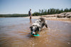 Ruffwear Hydro Plane™ High-Floating Foam Tug & Fetch Toy Fetch Dog Toy (Tangelo Orange)