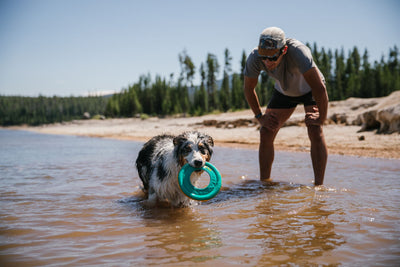 Ruffwear Hydro Plane™ High-Floating Foam Tug & Fetch Toy Fetch Dog Toy (Tangelo Orange)
