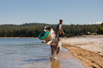 Ruffwear Hydro Plane™ High-Floating Foam Tug & Fetch Toy Fetch Dog Toy (Tangelo Orange)