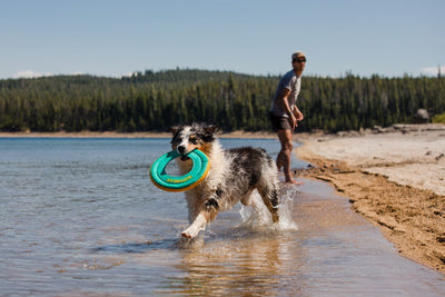 Ruffwear Hydro Plane™ High-Floating Foam Tug & Fetch Toy Fetch Dog Toy (Tangelo Orange)