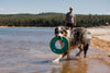 Ruffwear Hydro Plane™ High-Floating Foam Tug & Fetch Toy Fetch Dog Toy (Tangelo Orange)