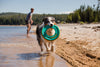 Ruffwear Hydro Plane™ High-Floating Foam Tug & Fetch Toy Fetch Dog Toy (Tangelo Orange)
