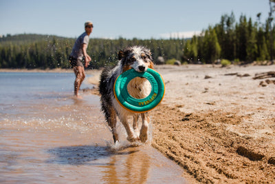 Ruffwear Hydro Plane™ High-Floating Foam Tug & Fetch Toy Fetch Dog Toy (Tangelo Orange)