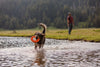 Ruffwear Hydro Plane™ High-Floating Foam Tug & Fetch Toy Fetch Dog Toy (Tangelo Orange)