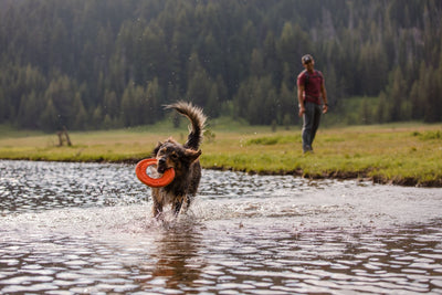 Ruffwear Hydro Plane™ High-Floating Foam Tug & Fetch Toy Fetch Dog Toy (Tangelo Orange)