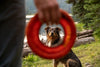 Ruffwear Hydro Plane™ High-Floating Foam Tug & Fetch Toy Fetch Dog Toy (Tangelo Orange)