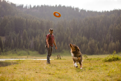 Ruffwear Hydro Plane™ High-Floating Foam Tug & Fetch Toy Fetch Dog Toy (Tangelo Orange)