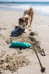 Ruffwear Lunker™ Interactive Floating Throw Dog Toy (Tangelo Orange)