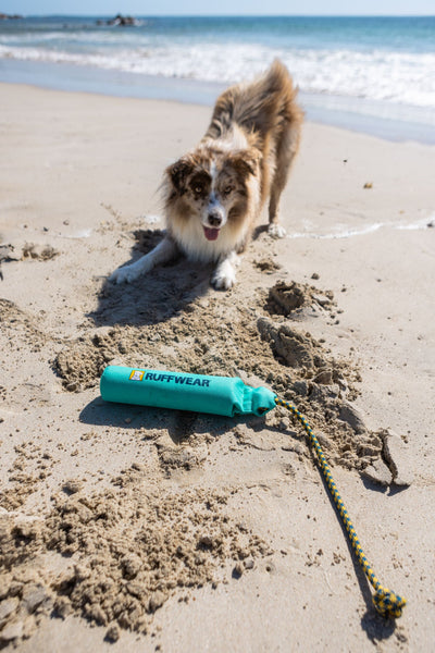 Ruffwear Lunker™ Interactive Floating Throw Dog Toy (Tangelo Orange)