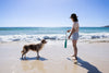 Ruffwear Lunker™ Interactive Floating Throw Dog Toy (Tangelo Orange)