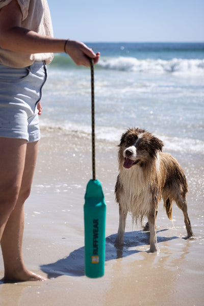 Ruffwear Lunker™ Interactive Floating Throw Dog Toy (Tangelo Orange)