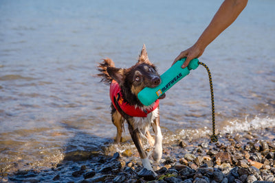 Ruffwear Lunker™ Interactive Floating Throw Dog Toy (Tangelo Orange)