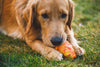 Ruffwear Gnawt-a-Cone™ Natural Rubber Treat Dispenser Throw Dog Toy (Salamander Orange)