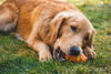 Ruffwear Gnawt-a-Cone™ Natural Rubber Treat Dispenser Throw Dog Toy (Salamander Orange)
