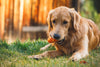 Ruffwear Gnawt-a-Cone™ Natural Rubber Treat Dispenser Throw Dog Toy (Salamander Orange)