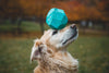 Ruffwear Gnawt-a-Rock™ Natural Rubber Treat Dispenser Dog Throw Toy (Glacial Blue)