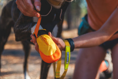 Ruffwear Summit Trex™ All-Season Paw Protection Dog Boots (Sunrise Yellow)