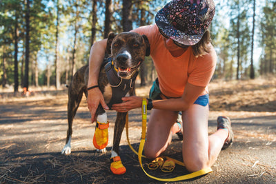 Ruffwear Summit Trex™ All-Season Paw Protection Dog Boots (Sunrise Yellow)