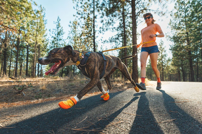 Ruffwear Summit Trex™ All-Season Paw Protection Dog Boots (Sunrise Yellow)