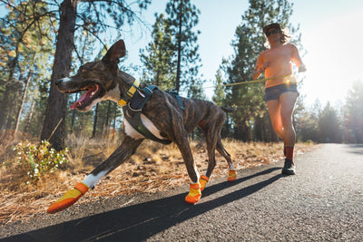 Ruffwear Summit Trex™ All-Season Paw Protection Dog Boots (Sunrise Yellow)