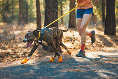 Ruffwear Summit Trex™ All-Season Paw Protection Dog Boots (Sunrise Yellow)