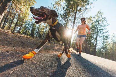 Ruffwear Summit Trex™ All-Season Paw Protection Dog Boots (Sunrise Yellow)