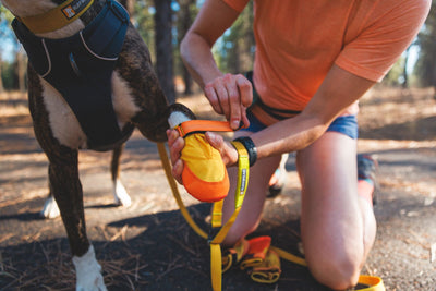 Ruffwear Summit Trex™ All-Season Paw Protection Dog Boots (Sunrise Yellow)