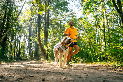 Ruffwear Swamp Cooler™ Reflective Cooling Dog Vest (Graphite Gray)