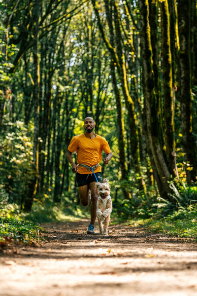 Ruffwear Swamp Cooler™ Reflective Cooling Dog Vest (Graphite Gray)