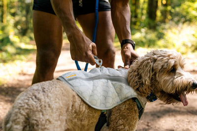 Ruffwear Swamp Cooler™ Reflective Cooling Dog Vest (Graphite Gray)