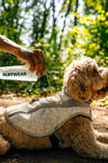 Ruffwear Swamp Cooler™ Reflective Cooling Dog Vest (Graphite Gray)