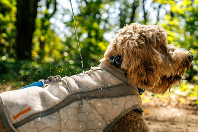 Ruffwear Swamp Cooler™ Reflective Cooling Dog Vest (Graphite Gray)