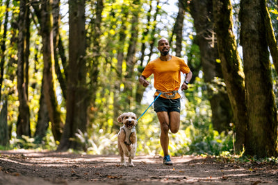 Ruffwear Swamp Cooler™ Reflective Cooling Dog Vest (Graphite Gray)