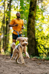 Ruffwear Swamp Cooler™ Reflective Cooling Dog Vest (Graphite Gray)
