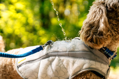 Ruffwear Swamp Cooler™ Reflective Cooling Dog Vest (Graphite Gray)