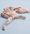 WildChow Freeze Dried Dog Chews (Bull Frog Leg)