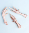 WildChow Freeze Dried Dog Chews (Chicken Feet)