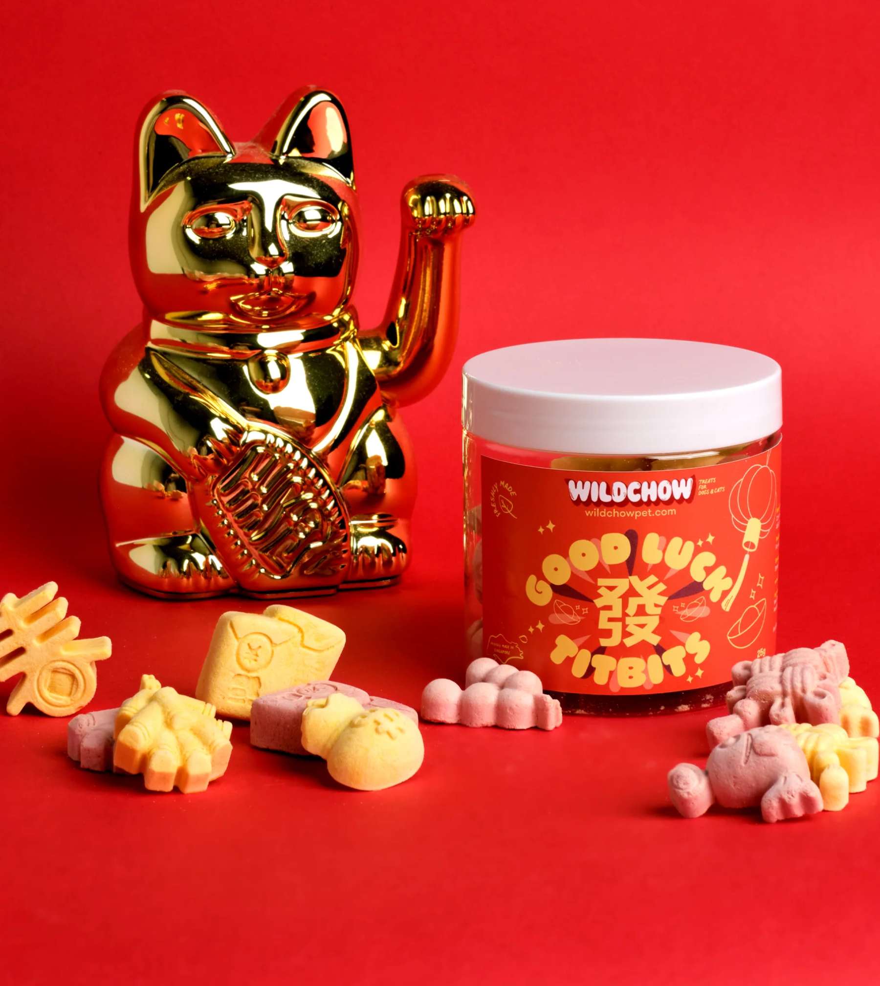 WildChow Lunar New Year Dog Treats (Good Luck Titbits)