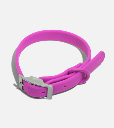 Wild One Anti-Odour Dog Collar (Orchid)