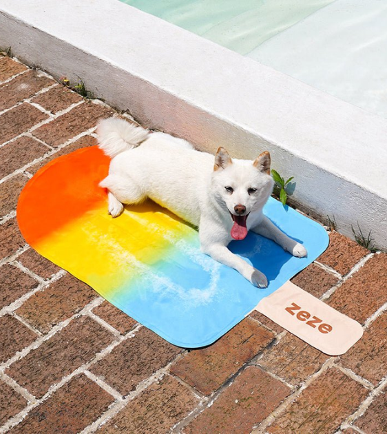 ZEZE Cooling Mat For Cats Dogs Rainbow Popsicle SG Best Pet Store Good Dog People