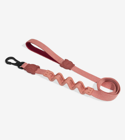 Naturals Collection Shock-Absorbing Dog Ruff Leash (Canyon