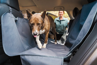 Ruffwear Dirtbag™ Machine Washable Car Seat Cover (Basalt Gray)