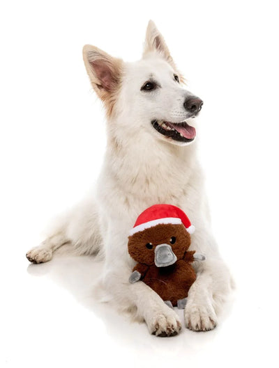 FuzzYard Christmas Dog Toy (A-Wreatha the Platypus)