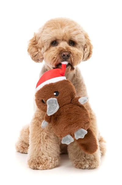 FuzzYard Christmas Dog Toy (A-Wreatha the Platypus)