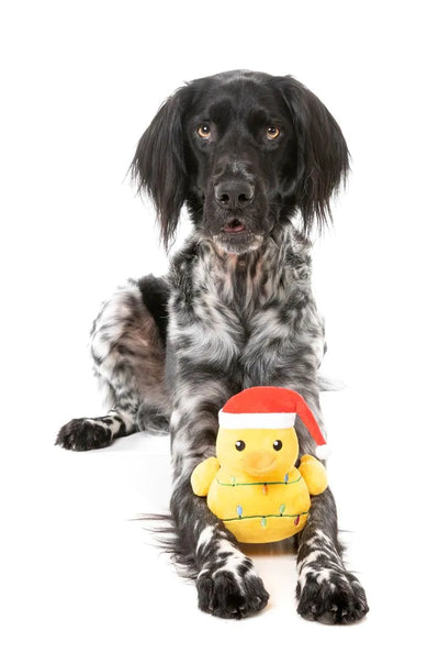 FuzzYard Christmas Dog Toy (Merry Quackmas)