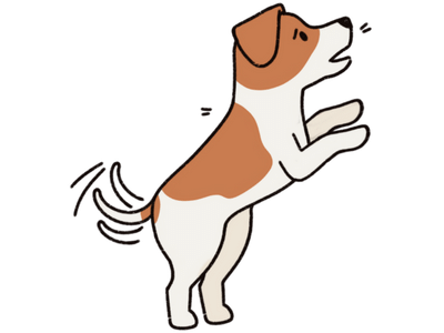 Shop Dog Anxiety & Stress Products At Singapore's Best Online Pet Store - Good Dog People