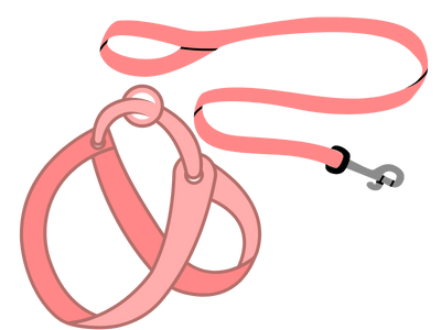 Shop Dog Leashes & Harnesses At Singapore's Best Online Pet Store - Good Dog People