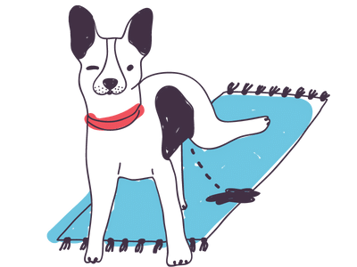 Shop Dog Pee Pads At Singapore's Best Online Pet Store - Good Dog People