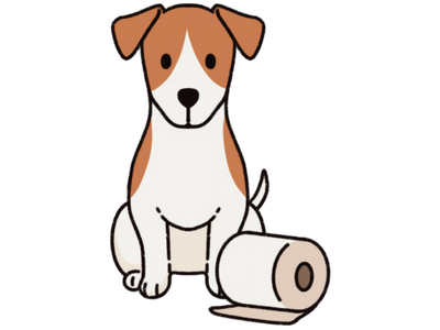 Shop Dog Gut Health & Loose Stool Products At Singapore's Best Online Pet Store - Good Dog People