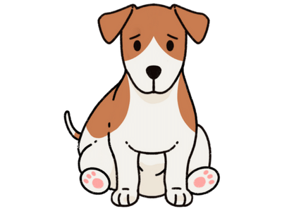 Singapore s Best Online Pet Shop Dog Store Online Good Dog People